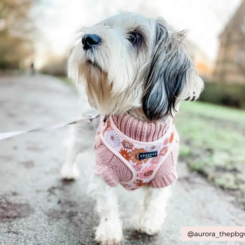 Cocopup Adjustable Neck Harnesses-Groovy Florals Adjustable Neck HARNESS