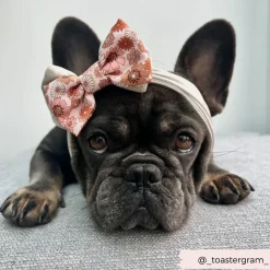 Cocopup Bow Ties-Groovy Florals Bow Tie