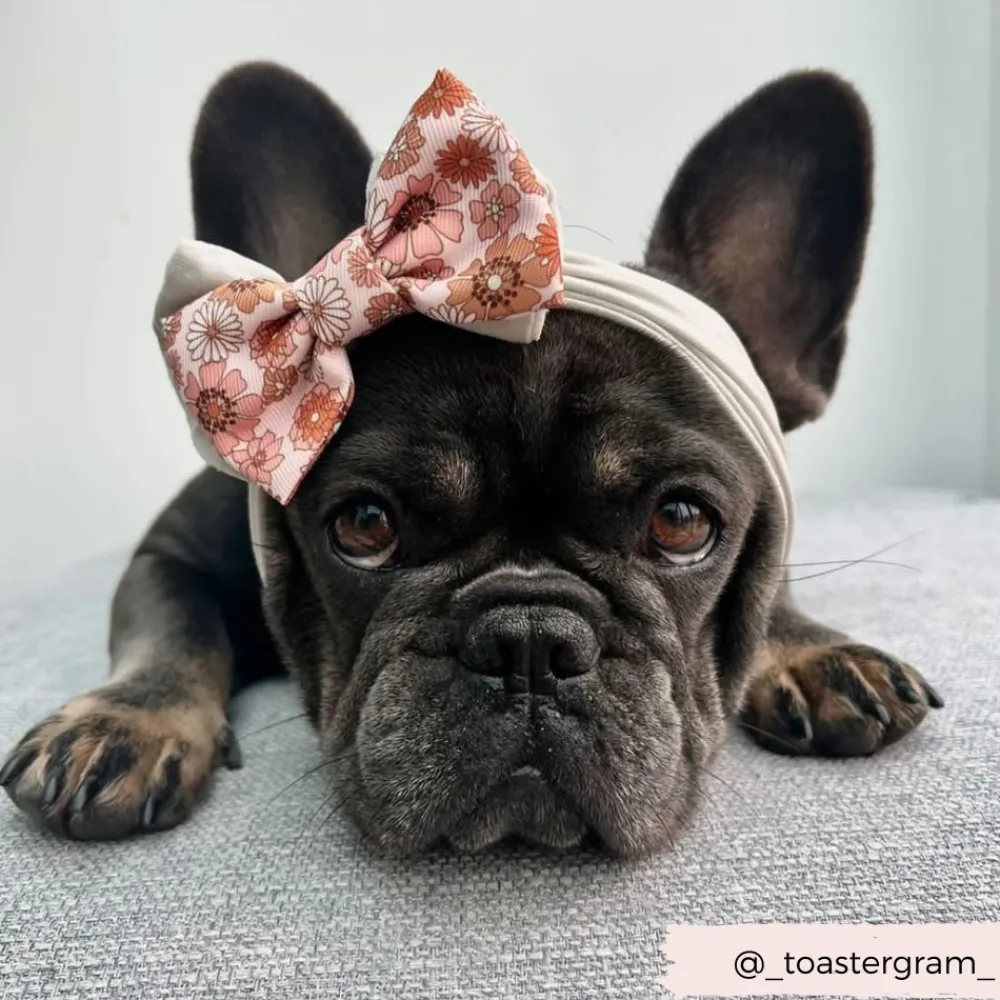 Cocopup Bow Ties-Groovy Florals Bow Tie