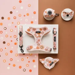 Cocopup Leads-Groovy Florals Lead