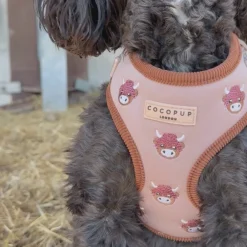 Cocopup Adjustable Neck Harnesses-Harold the Highland Cow Adjustable Neck HARNESS
