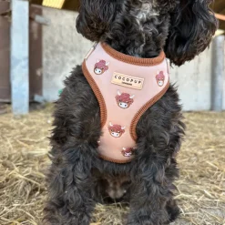 Cocopup Adjustable Neck Harnesses-Harold the Highland Cow Adjustable Neck HARNESS