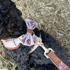 Cocopup Bow Ties-Harold the Highland Cow Bow Tie