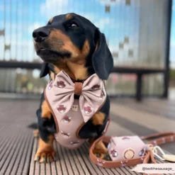 Cocopup Sailor Bow Ties-Harold the Highland Cow Sailor Bow Tie