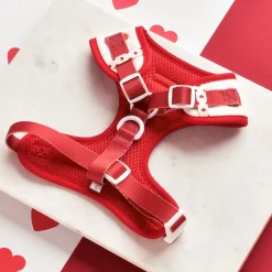 Cocopup Adjustable Harness Bundles-Hugs & Knitted Adjustable Neck Harness, Lead & Collar Bundle