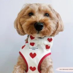 Cocopup Adjustable Neck Harnesses-Hugs & Knitted Adjustable Neck HARNESS