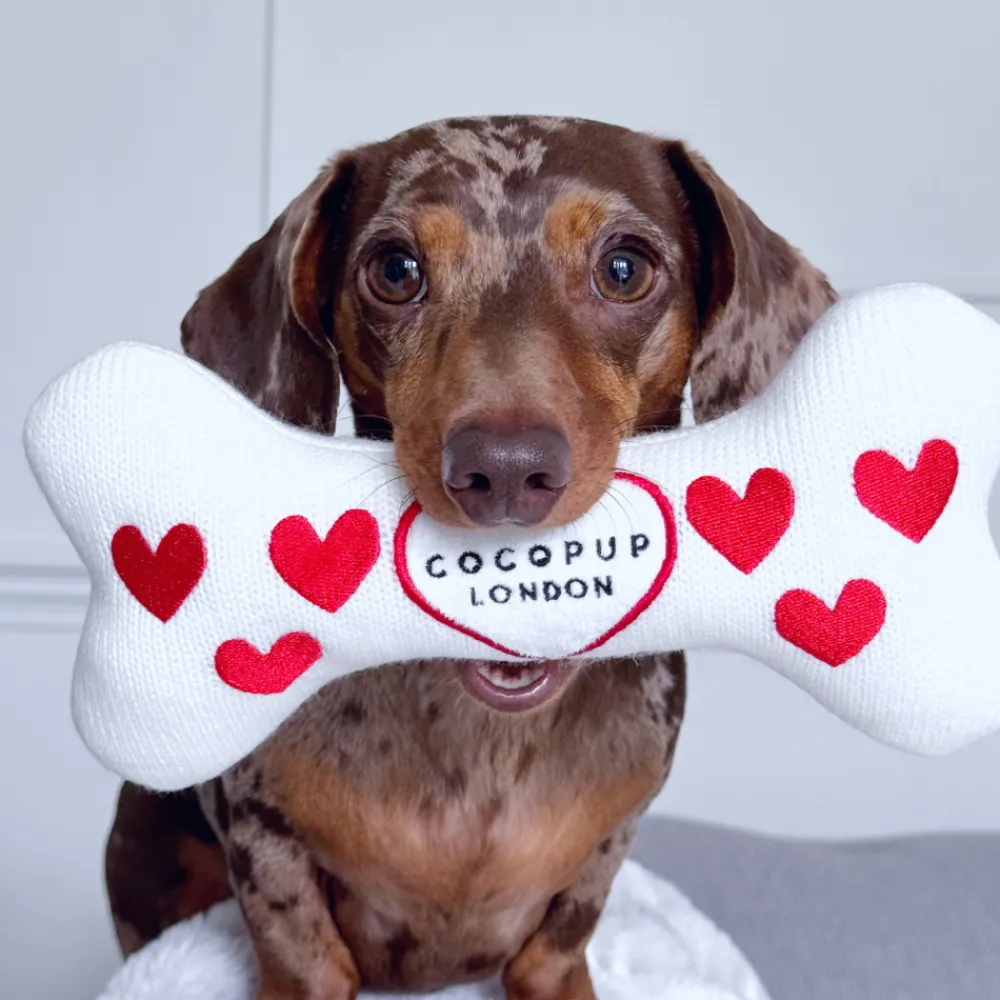 Cocopup Bone Toys 🦴-Hugs & Knitted Bone Toy