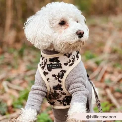 Cocopup Adjustable Neck Harnesses-Ivory Tort Adjustable Neck HARNESS