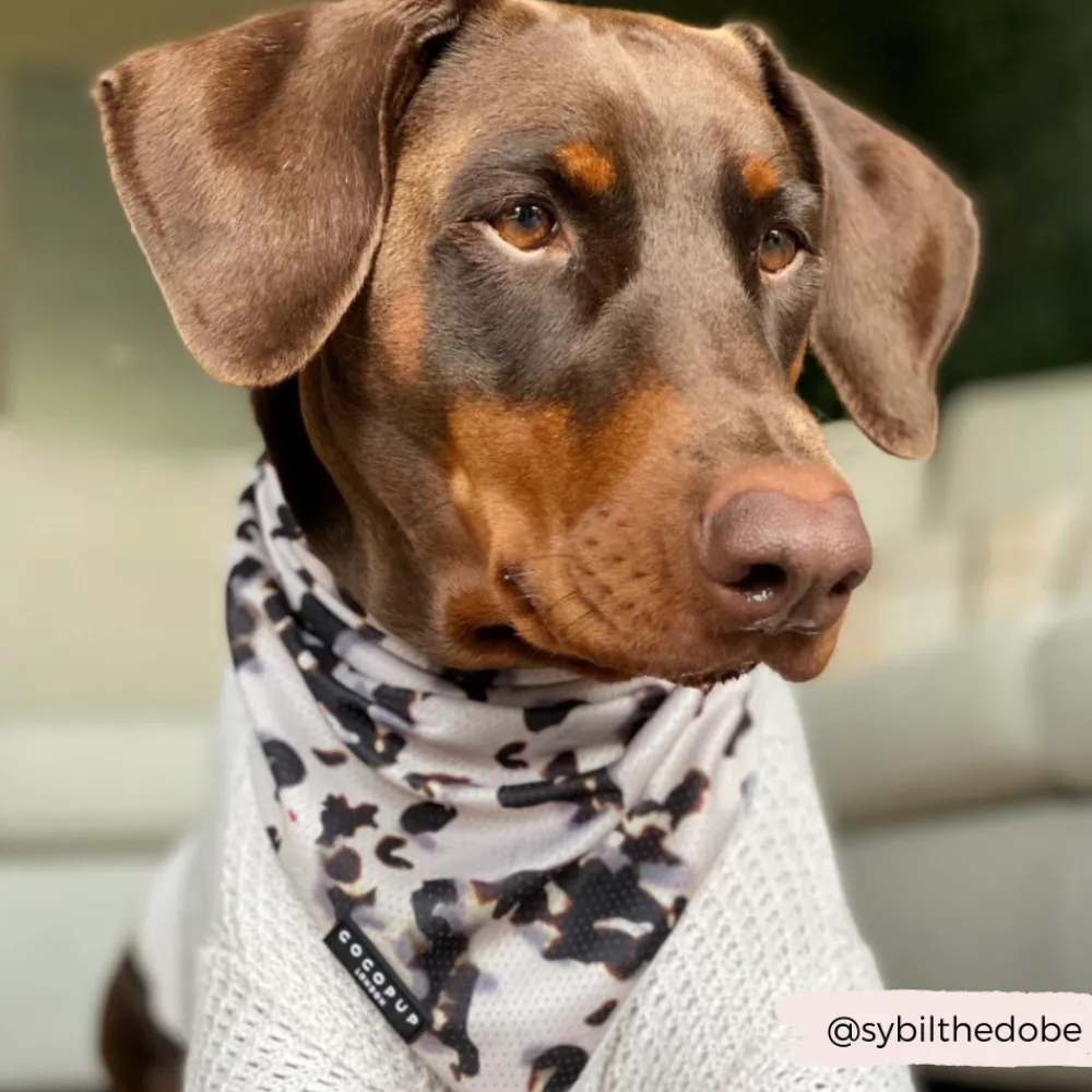 Cocopup Bandanas-Ivory Tort Bandana