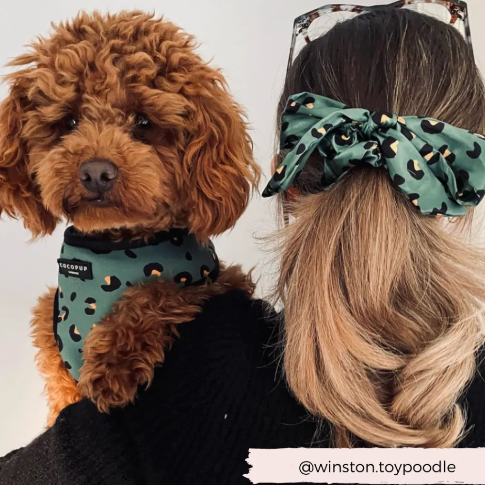 Cocopup Adjustable Harness Bundles-Khaki Leopard Adjustable Neck Harness, Lead & Collar Bundle