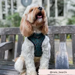 Cocopup Adjustable Harness Bundles-Khaki Leopard Adjustable Neck Harness, Lead & Collar Bundle