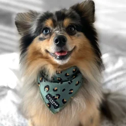 Cocopup Bandanas-Khaki Leopard Bandana