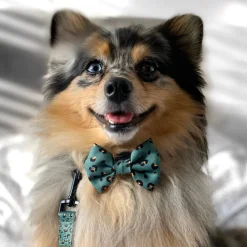 Cocopup Bow Ties | Bow Ties-Khaki Leopard Bow Tie