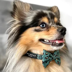 Cocopup Bow Ties | Bow Ties-Khaki Leopard Bow Tie