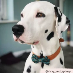 Cocopup Bow Ties | Bow Ties-Khaki Leopard Bow Tie