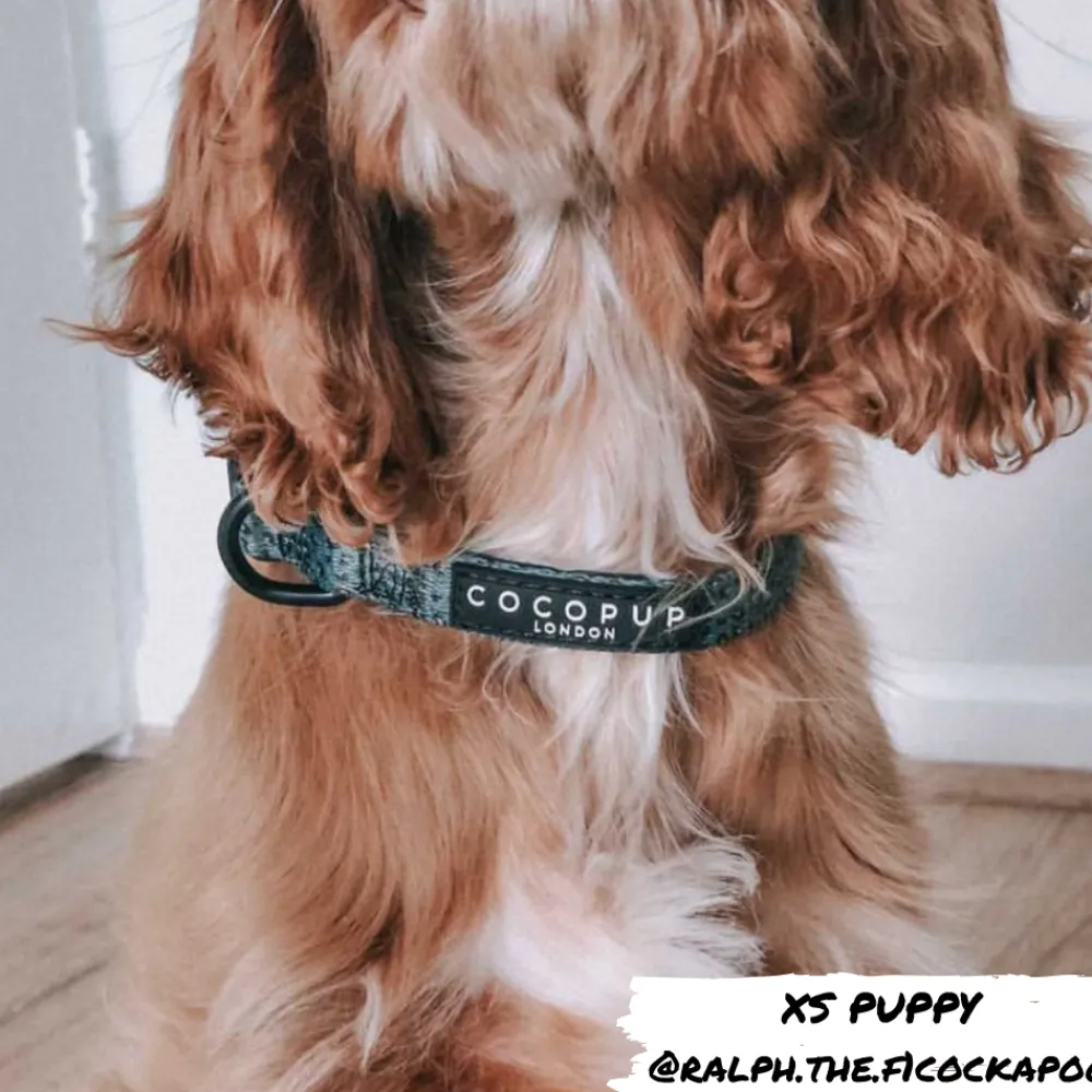 Cocopup Collars | Puppy Leads & Collars-Khaki Leopard COLLAR