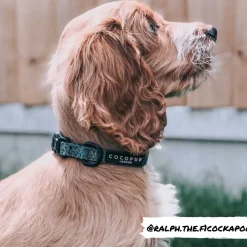 Cocopup Collars | Puppy Leads & Collars-Khaki Leopard COLLAR