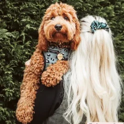 Cocopup Scrunchies-Khaki Leopard Scrunchie by Coconut Lane