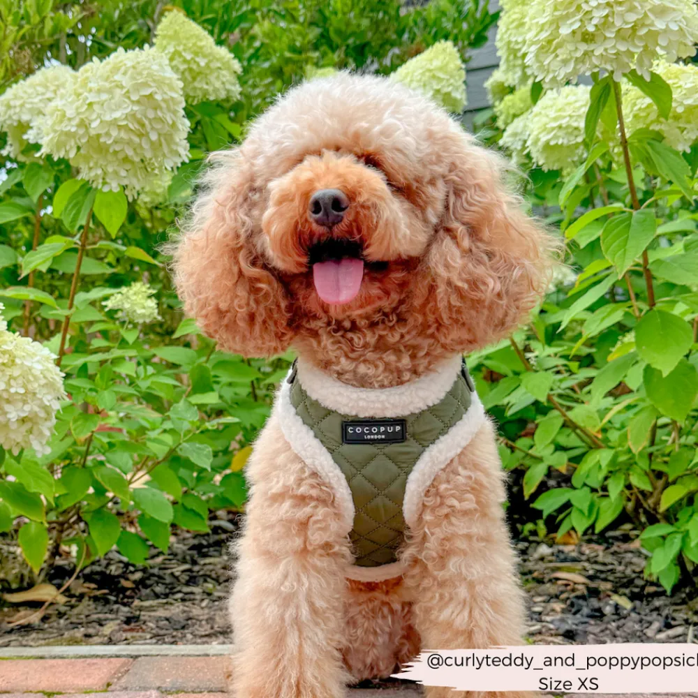 Cocopup Adjustable Neck Harnesses-Khaki Quilted Adjustable Neck HARNESS