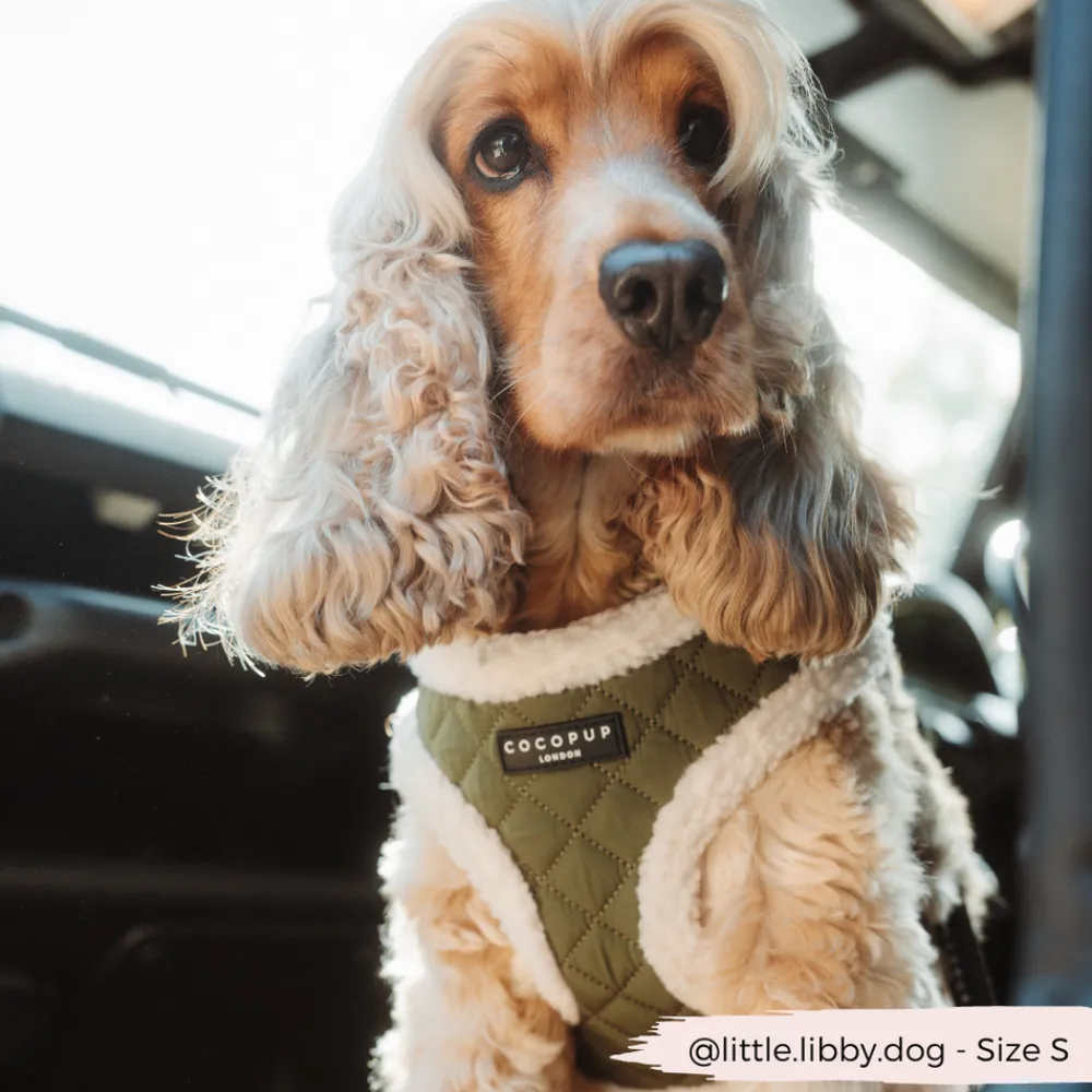 Cocopup Adjustable Harness Bundles-Khaki Quilted Adjustable Neck Harness, Lead & Collar Bundle