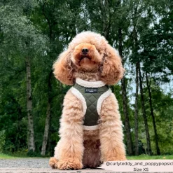 Cocopup Adjustable Harness Bundles-Khaki Quilted Adjustable Neck Harness, Lead & Collar Bundle