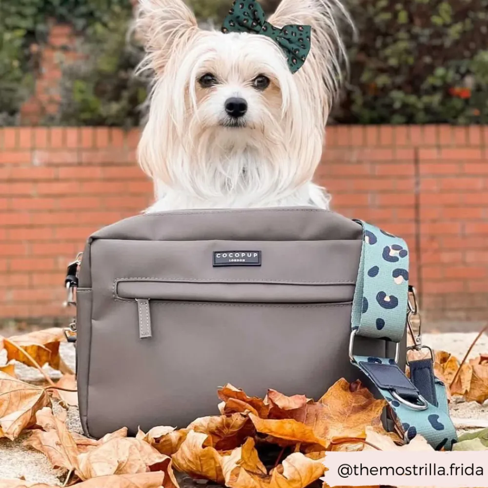 Cocopup Large Dog Walking Bags-Large Dog Walking Bag - Mocha