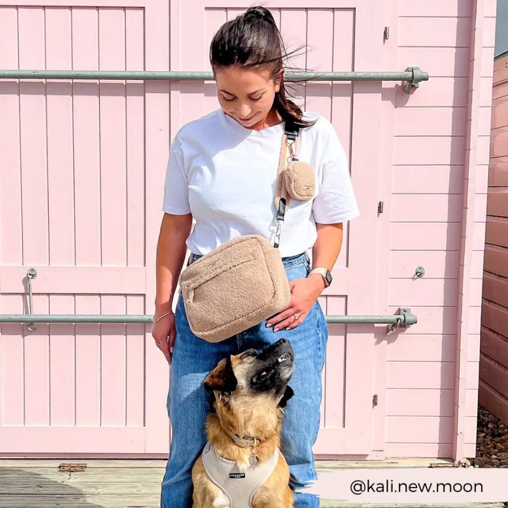 Cocopup Large Dog Walking Bags-Large Dog Walking Bag - Teddy Rupert