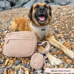 Cocopup Large Dog Walking Bags-Large Dog Walking Bag - Teddy Rupert