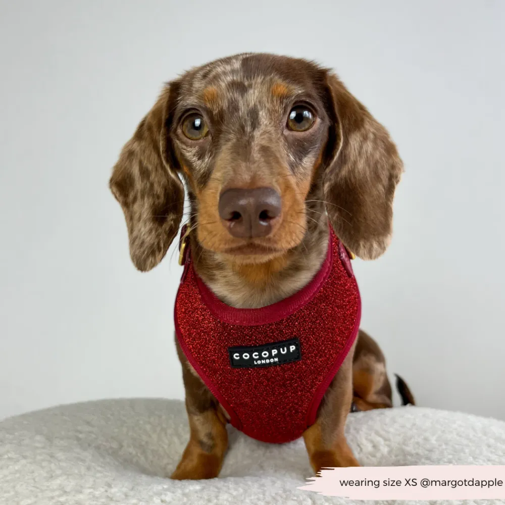 Cocopup Adjustable Neck Harnesses-Limited Edition Burgundy Sparkle Pup Adjustable Neck HARNESS