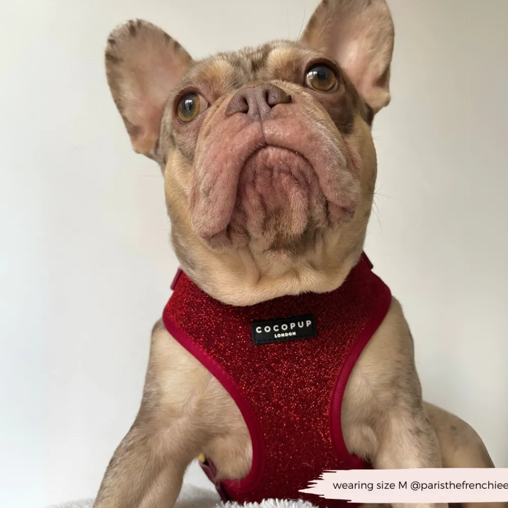 Cocopup Adjustable Neck Harnesses-Limited Edition Burgundy Sparkle Pup Adjustable Neck HARNESS