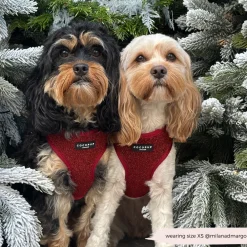 Cocopup Adjustable Harness Bundles-Limited Edition Burgundy Sparkle Pup Adjustable Neck Harness, Lead & Collar Bundle