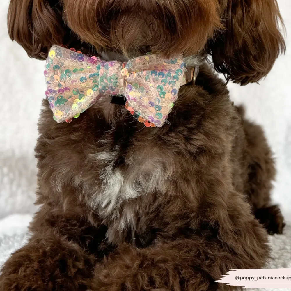 Cocopup Bow Ties-Limited Edition LUXE Party Rose Gold Sequin Bow Tie