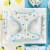 Cocopup Adjustable Harness Bundles-Living La Vida Lemon Adjustable Neck Harness, Lead & Collar Bundle