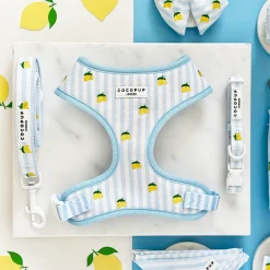 Cocopup Adjustable Harness Bundles-Living La Vida Lemon Adjustable Neck Harness, Lead & Collar Bundle