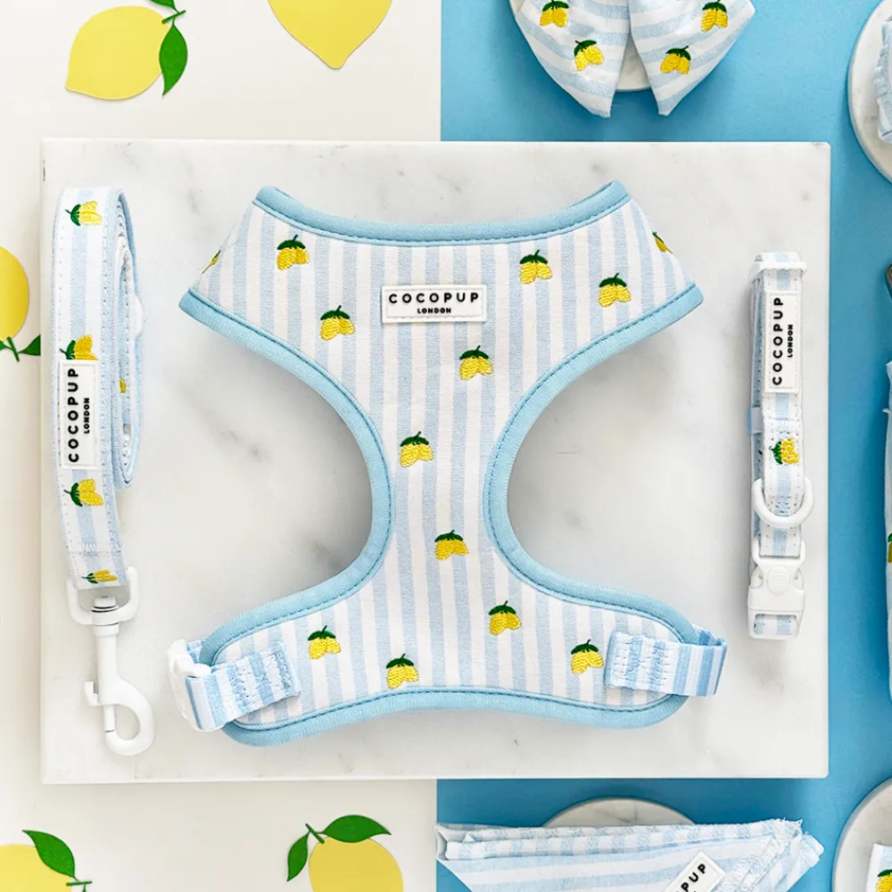 Cocopup Adjustable Harness Bundles-Living La Vida Lemon Adjustable Neck Harness, Lead & Collar Bundle