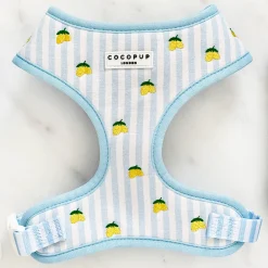 Cocopup Adjustable Neck Harnesses-Living La Vida Lemon Adjustable Neck HARNESS