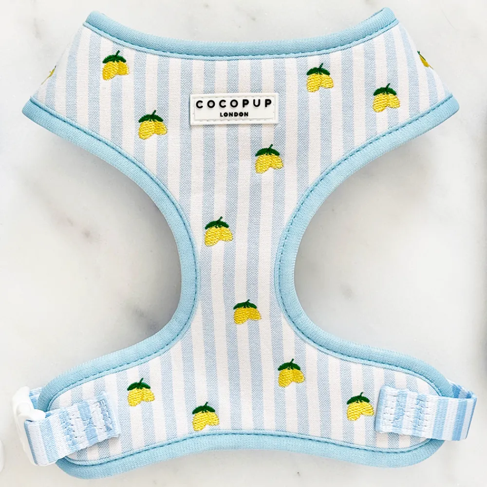 Cocopup Adjustable Neck Harnesses-Living La Vida Lemon Adjustable Neck HARNESS