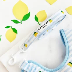 Cocopup Adjustable Harness Bundles-Living La Vida Lemon Adjustable Neck Harness, Lead & Collar Bundle