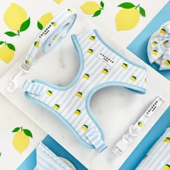 Cocopup Adjustable Neck Harnesses-Living La Vida Lemon Adjustable Neck HARNESS