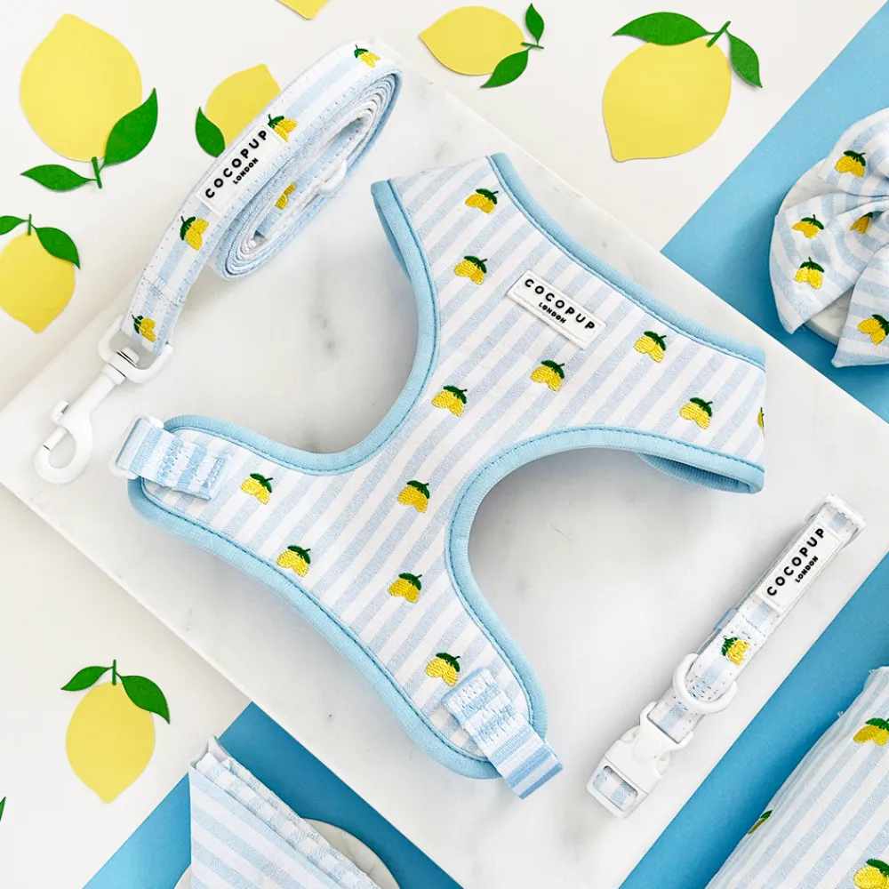 Cocopup Adjustable Neck Harnesses-Living La Vida Lemon Adjustable Neck HARNESS