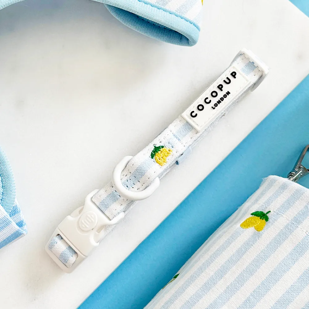 Cocopup Adjustable Harness Bundles-Living La Vida Lemon Adjustable Neck Harness, Lead & Collar Bundle