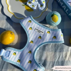 Cocopup Adjustable Harness Bundles-Living La Vida Lemon Adjustable Neck Harness, Lead & Collar Bundle