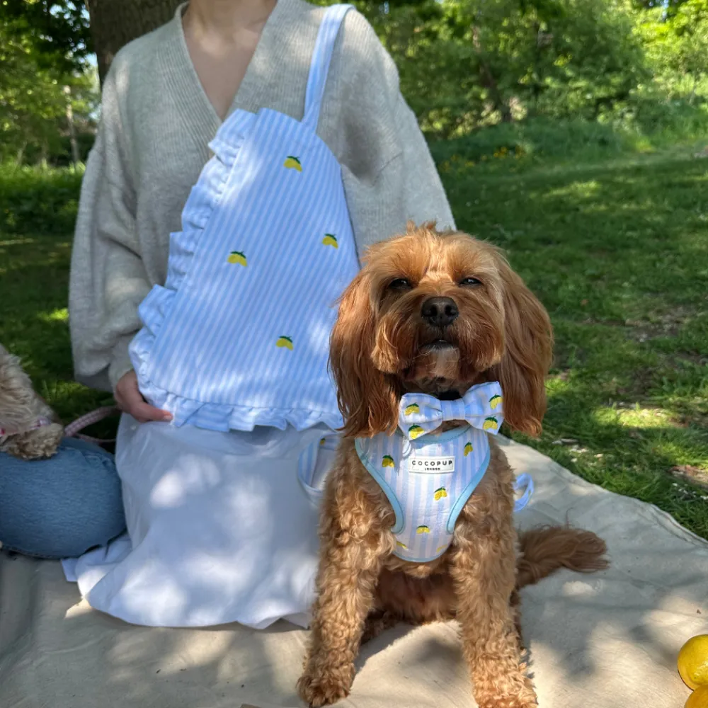 Cocopup Bow Ties-Living La Vida Lemon Bow Tie