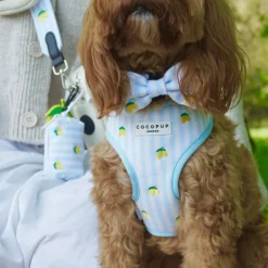 Cocopup Bow Ties-Living La Vida Lemon Bow Tie