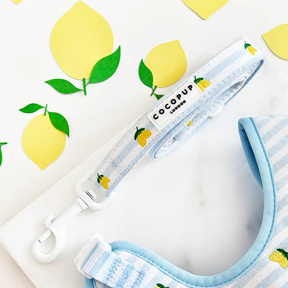 Cocopup Leads-Living La Vida Lemon Lead