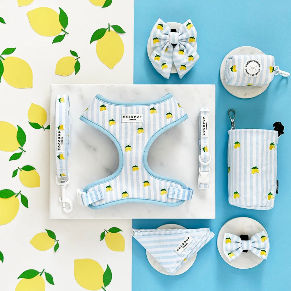 Cocopup Leads-Living La Vida Lemon Lead