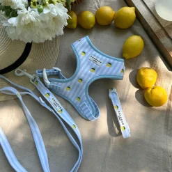 Cocopup Leads-Living La Vida Lemon Lead