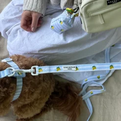 Cocopup Leads-Living La Vida Lemon Lead
