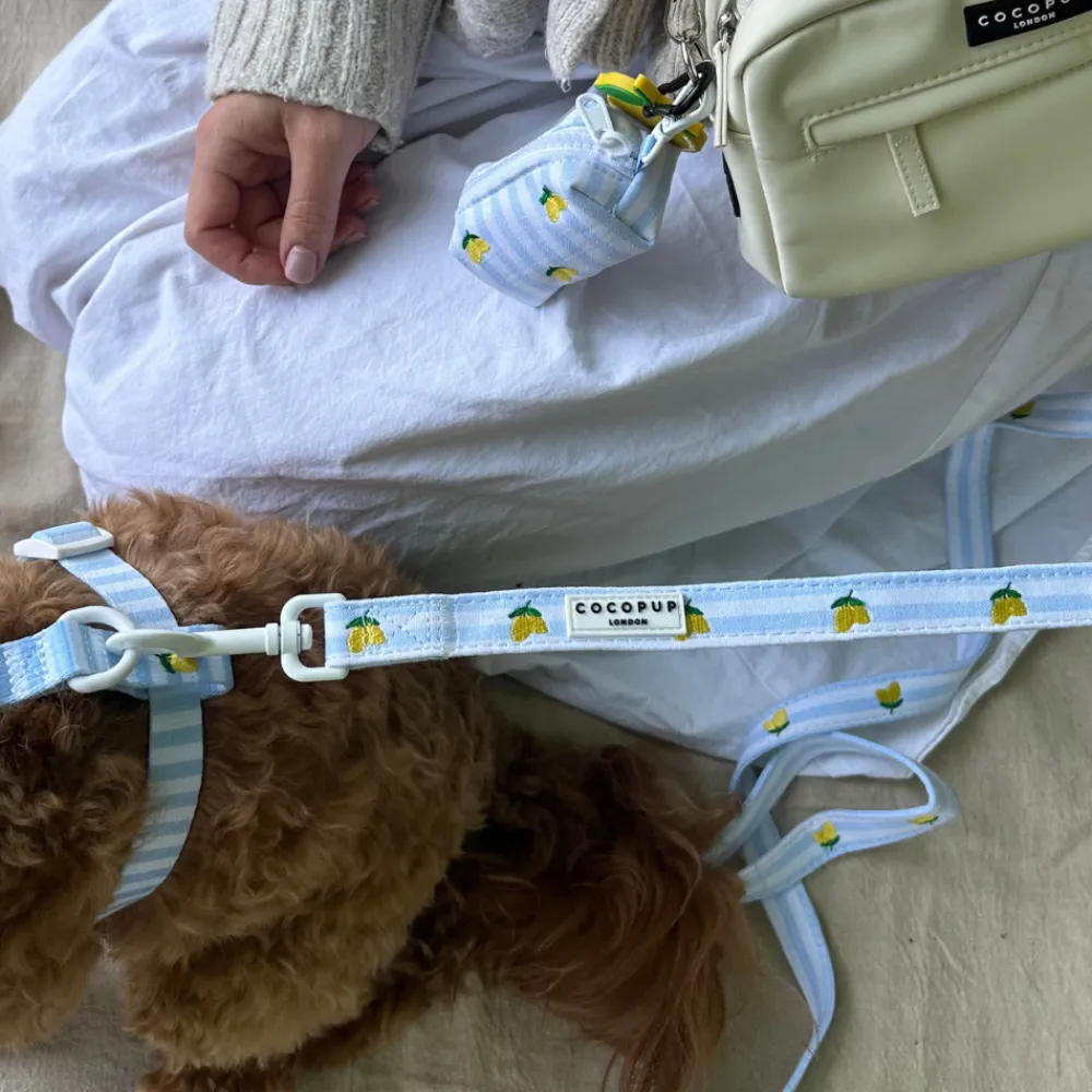 Cocopup Leads-Living La Vida Lemon Lead