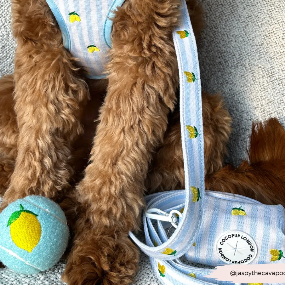 Cocopup Poop Bag Holders | Poop Bag Holders-Living La Vida Lemon Poop Bag Holder